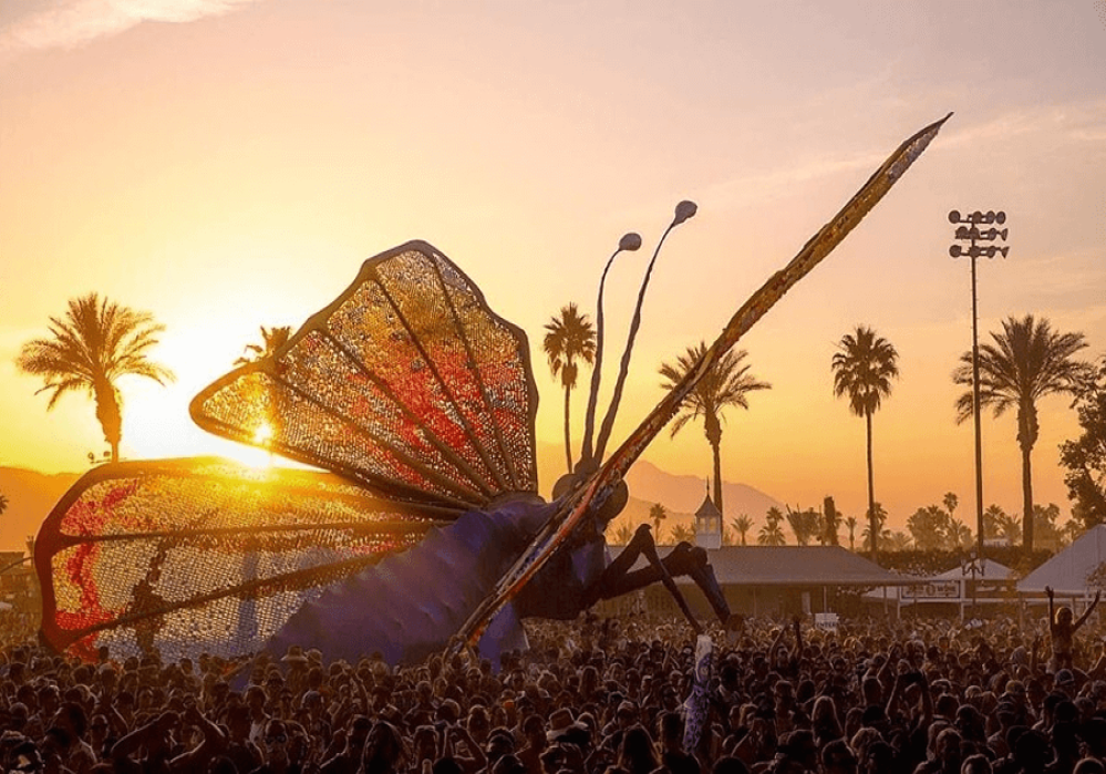UNIKI Stars: Discovering the World of Music Together